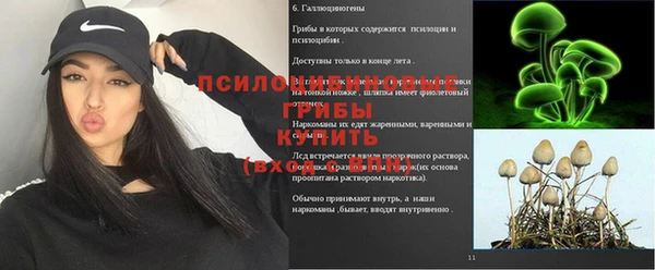 mdpv Баксан