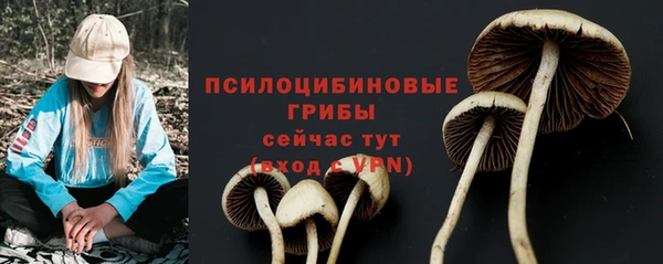 молекула духа Балабаново