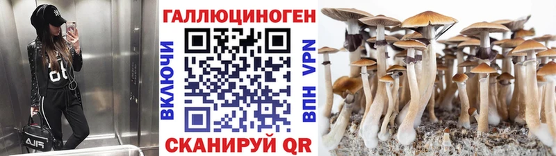 Псилоцибиновые грибы ЛСД  что такое наркотик  Вольск 