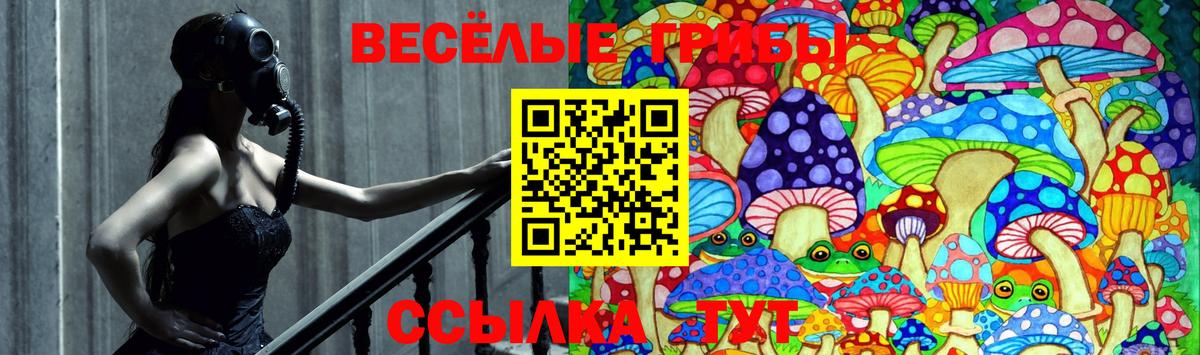 Галлюциногенные грибы мухоморы  Вход с VPN  Вольск 